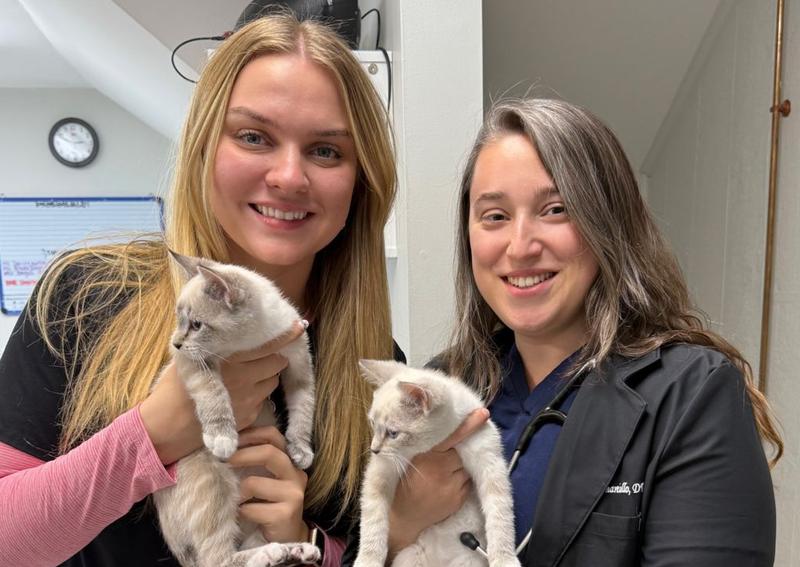 Comprehensive health and wellness benefits