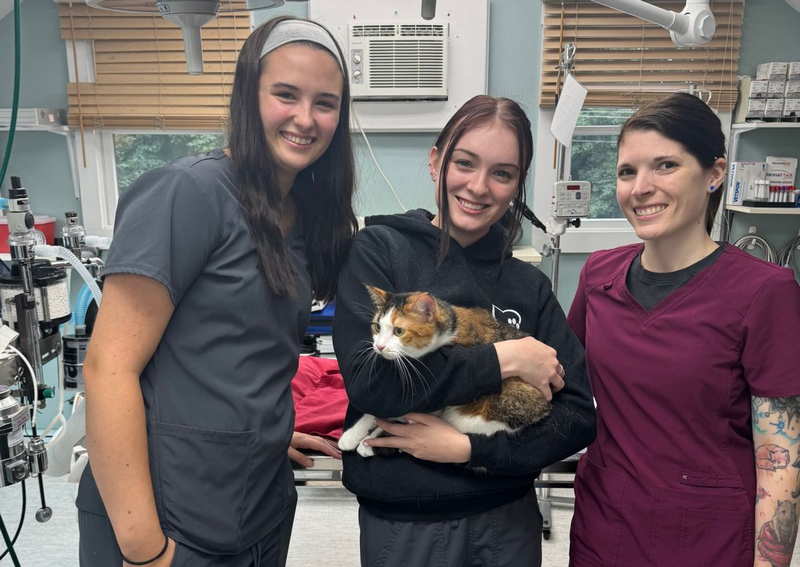 financial well-being